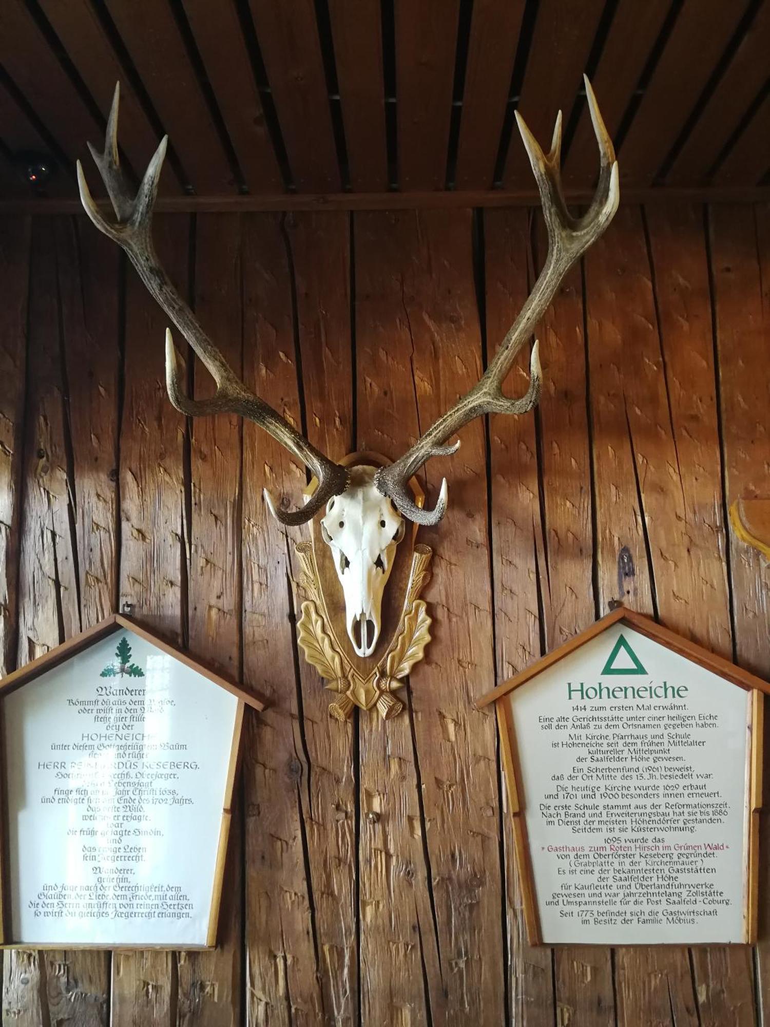 Zum Roten Hirsch im Grünen Wald Saalfeld Saale Exterior foto